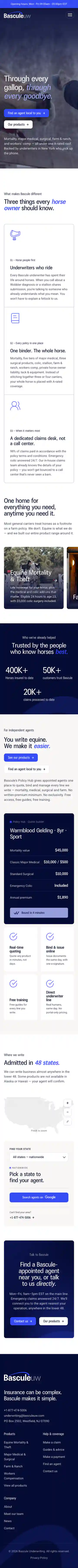 The same site on a phone